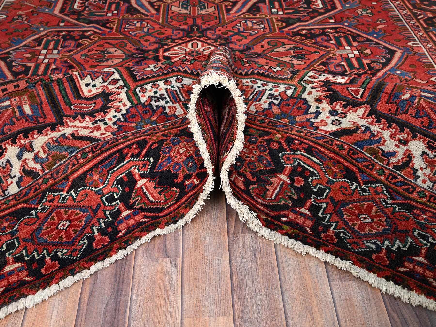HerizRugs ORC775242